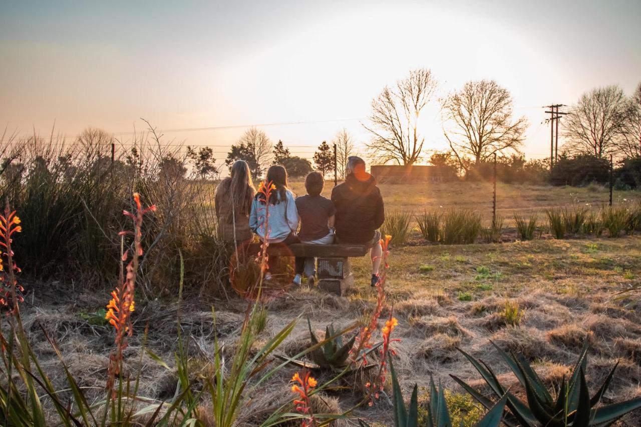 The Aloes Farm - The Studio & The Gallery Leilighet Hilton Eksteriør bilde